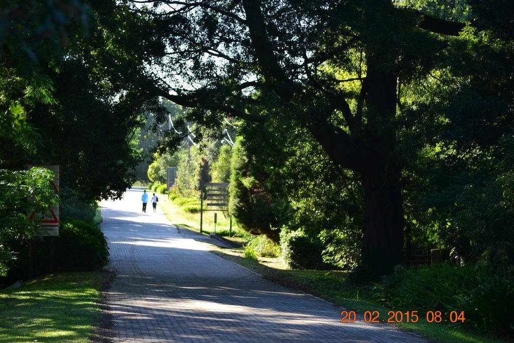 Tsitsikhaya Lodge Stormsrivier Buitenkant foto