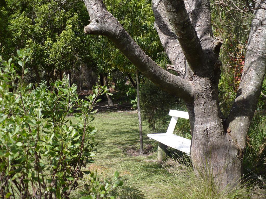 Tsitsikhaya Lodge Stormsrivier Buitenkant foto